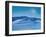 Colorado Dunes V-James McLoughlin-Framed Art Print