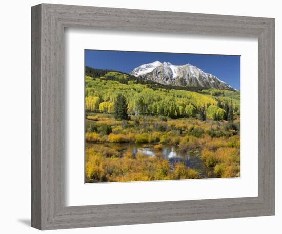 Colorado, East Beckwith Mountain. Composite of Mountain and Forest-Jaynes Gallery-Framed Photographic Print