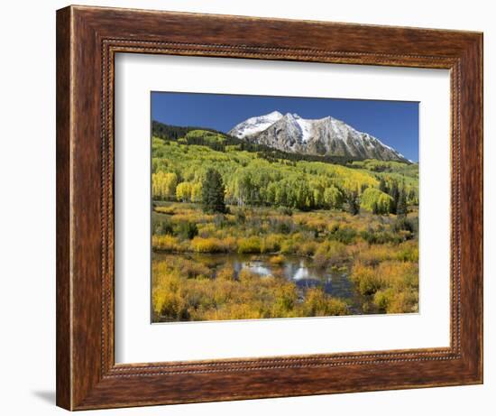 Colorado, East Beckwith Mountain. Composite of Mountain and Forest-Jaynes Gallery-Framed Photographic Print