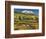 Colorado, East Beckwith Mountain. Composite of Mountain and Forest-Jaynes Gallery-Framed Photographic Print