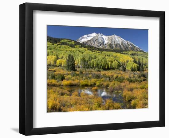 Colorado, East Beckwith Mountain. Composite of Mountain and Forest-Jaynes Gallery-Framed Photographic Print