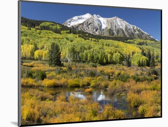 Colorado, East Beckwith Mountain. Composite of Mountain and Forest-Jaynes Gallery-Mounted Photographic Print
