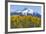 Colorado. Fall Aspens and Mountain-Jaynes Gallery-Framed Photographic Print