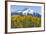 Colorado. Fall Aspens and Mountain-Jaynes Gallery-Framed Photographic Print
