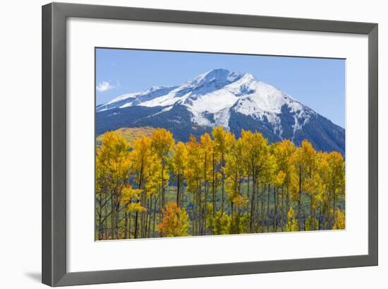 Colorado. Fall Aspens and Mountain-Jaynes Gallery-Framed Photographic Print