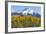 Colorado. Fall Aspens and Mountain-Jaynes Gallery-Framed Photographic Print