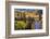 Colorado Fall Foliage-duallogic-Framed Photographic Print