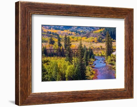 Colorado Fall Foliage-duallogic-Framed Photographic Print