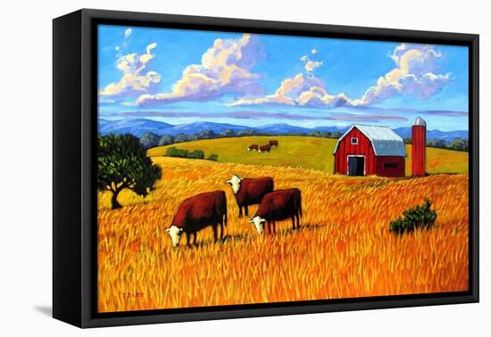 Colorado Farm In Late Summer-Patty Baker-Framed Stretched Canvas