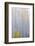 Colorado, Grand Mesa. Composite of Foggy Aspen Forest-Jaynes Gallery-Framed Photographic Print