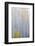 Colorado, Grand Mesa. Composite of Foggy Aspen Forest-Jaynes Gallery-Framed Photographic Print