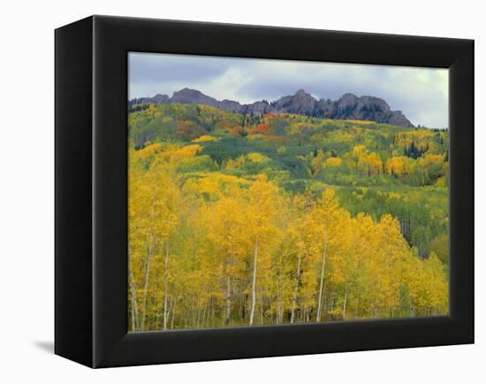 Colorado, Gunnison National Forest-John Barger-Framed Premier Image Canvas