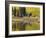 Colorado, Gunnison National Forest-John Barger-Framed Photographic Print