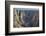 Colorado, Gunnison National Park. Scenic in Black Canyon-Jaynes Gallery-Framed Photographic Print