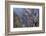 Colorado, Gunnison National Park. Scenic of Black Canyon-Jaynes Gallery-Framed Photographic Print