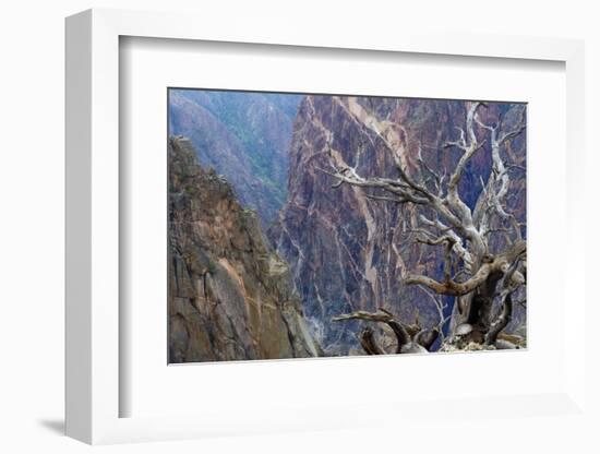 Colorado, Gunnison National Park. Scenic of Black Canyon-Jaynes Gallery-Framed Photographic Print