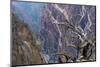 Colorado, Gunnison National Park. Scenic of Black Canyon-Jaynes Gallery-Mounted Photographic Print