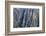 Colorado, Gunnison National Park. Scenic of Black Canyon-Jaynes Gallery-Framed Photographic Print