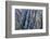 Colorado, Gunnison National Park. Scenic of Black Canyon-Jaynes Gallery-Framed Photographic Print