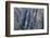 Colorado, Gunnison National Park. Scenic of Black Canyon-Jaynes Gallery-Framed Photographic Print