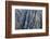 Colorado, Gunnison National Park. Scenic of Black Canyon-Jaynes Gallery-Framed Photographic Print