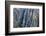 Colorado, Gunnison National Park. Scenic of Black Canyon-Jaynes Gallery-Framed Photographic Print