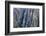 Colorado, Gunnison National Park. Scenic of Black Canyon-Jaynes Gallery-Framed Photographic Print