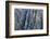 Colorado, Gunnison National Park. Scenic of Black Canyon-Jaynes Gallery-Framed Photographic Print