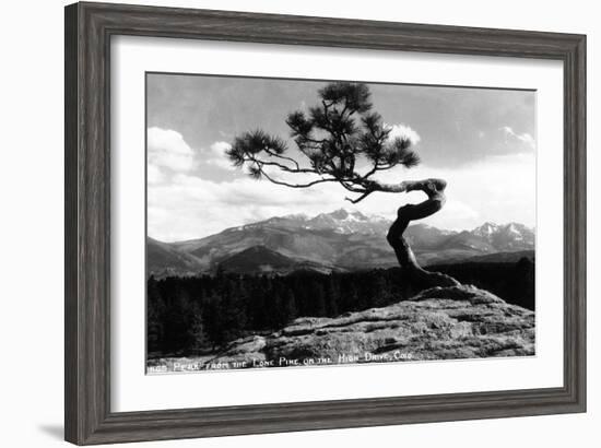 Colorado - Longs Peak from the Lone Pine on High Drive-Lantern Press-Framed Art Print