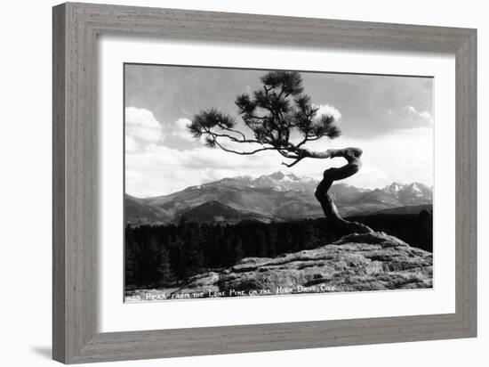 Colorado - Longs Peak from the Lone Pine on High Drive-Lantern Press-Framed Art Print