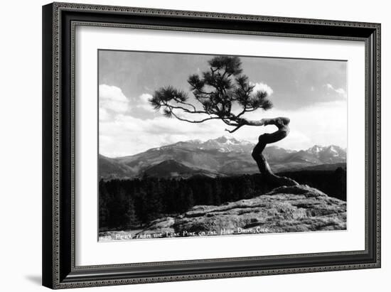 Colorado - Longs Peak from the Lone Pine on High Drive-Lantern Press-Framed Art Print