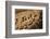 Colorado, Mesa Verde National Park, Cliff Palace, over 700 Years Old-David Wall-Framed Photographic Print