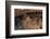 Colorado, Mesa Verde National Park, Cliff Palace, over 700 Years Old-David Wall-Framed Photographic Print