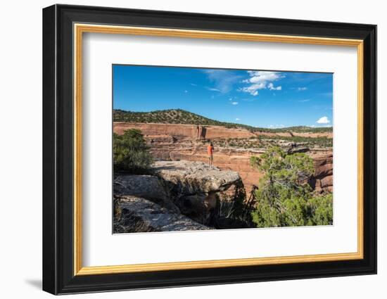 Colorado National Monument, Colorado-daniloforcellini-Framed Photographic Print