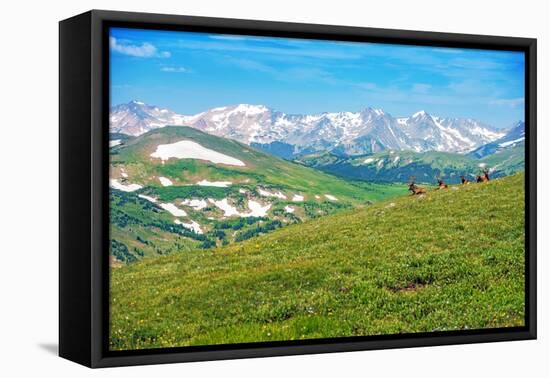 Colorado Panorama with Elks-duallogic-Framed Premier Image Canvas