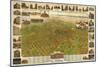 Colorado - Panoramic Map of Denver No. 5-Lantern Press-Mounted Art Print