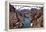 Colorado River Below Hoover Dam-Mark Williamson-Framed Premier Image Canvas