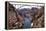 Colorado River Below Hoover Dam-Mark Williamson-Framed Premier Image Canvas