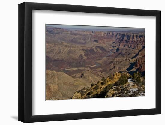 Colorado River, Desert View, South Rim, Grand Canyon NP, Arizona, USA-Michel Hersen-Framed Photographic Print