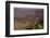Colorado River, Desert View, South Rim, Grand Canyon NP, Arizona, USA-Michel Hersen-Framed Photographic Print