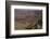 Colorado River, Desert View, South Rim, Grand Canyon NP, Arizona, USA-Michel Hersen-Framed Photographic Print