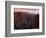 Colorado River in the Grand Canyon-Danny Lehman-Framed Photographic Print