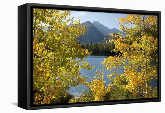 Colorado, Rocky Mountain National Park. Autumn Along Bear Lake and Longs Peak-Jaynes Gallery-Framed Premier Image Canvas