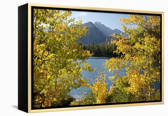 Colorado, Rocky Mountain National Park. Autumn Along Bear Lake and Longs Peak-Jaynes Gallery-Framed Premier Image Canvas