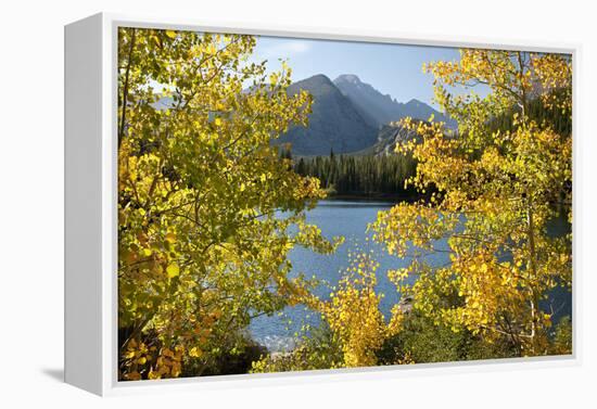 Colorado, Rocky Mountain National Park. Autumn Along Bear Lake and Longs Peak-Jaynes Gallery-Framed Premier Image Canvas