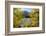 Colorado, Rocky Mountain National Park. Autumn Along Bear Lake and Longs Peak-Jaynes Gallery-Framed Photographic Print