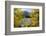 Colorado, Rocky Mountain National Park. Autumn Along Bear Lake and Longs Peak-Jaynes Gallery-Framed Photographic Print