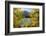 Colorado, Rocky Mountain National Park. Autumn Along Bear Lake and Longs Peak-Jaynes Gallery-Framed Photographic Print