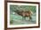 Colorado, Rocky Mountain National Park. Bull Elk and Little Elephant's Head Flowers-Jaynes Gallery-Framed Photographic Print