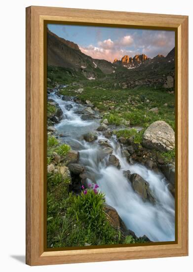 Colorado, Rocky Mountain Sunset in American Basin with Stream and Alpine Wildflowers-Judith Zimmerman-Framed Premier Image Canvas